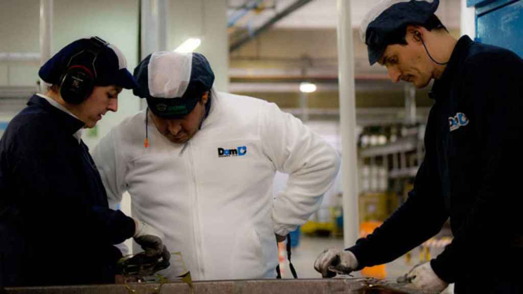 Grupo Envases compró Domiberia a mediados de 2023