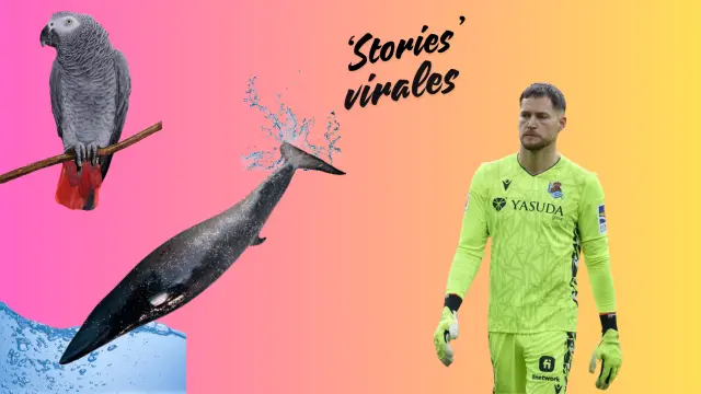 Del regreso del loro Berritxu al espectacular mensaje de Remiro al fútbol: los 'highlights' de la semana