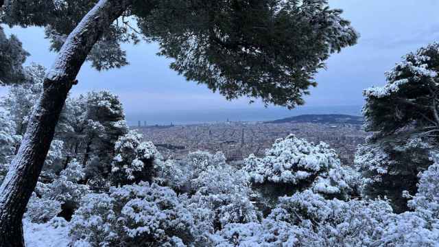Nieve en Collserola en una imagen de archivo