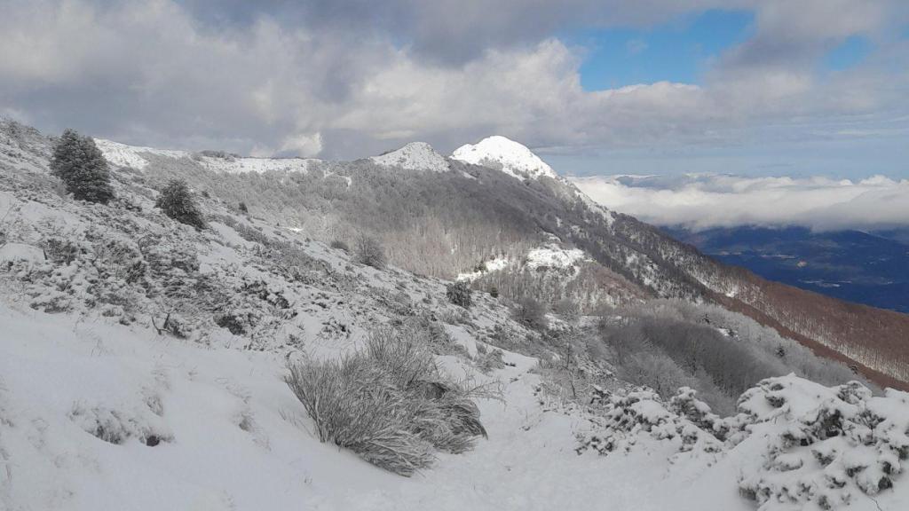 Imágenes de una nevada en el Montseny este febrero